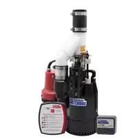 The Basement Watchdog 1/3 HP 3,720 gph Cast Iron Dual Reed Switch AC Backup Sump