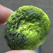 76.80Ct Genuine MOLDAVITE Czech Republic Certificate of Authenticity