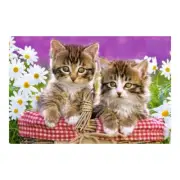 Castorland Puzzles Kittens in a Basket Provides Fun for the Whole Family Ages 5+