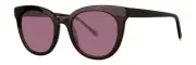 Paradigm Nicks Sunglasses Sun Glasses Aperitif Authentic New 50mm Men