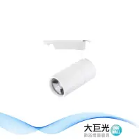 在飛比找momo購物網優惠-【大巨光】LED 15W 軌道燈_LED(LW-11-512