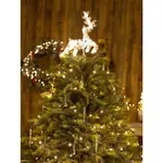 髮光樹頂星聖誕樹鐵藝LED星星電池款金色五角星樹頂星聖誕樹裝飾 聖誕樹頂尖裝飾 聖誕樹頂端裝飾