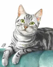 ✪ ORIGINAL Oil Portrait Painting AMERICAN SHORTHAIR SILVER TABBY Signed Cat Art