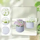 Gypsophila Artificial Flowers Faux Plant Modern Artificial Bonsai Desktop