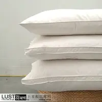 在飛比找樂天市場購物網優惠-【LUST】五星級飯店專用-羽絨枕 100%羽絨/羽毛枕/1