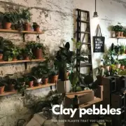 GROW!T 2 lbs 100% Hydroponic Natural Clay Pebbles