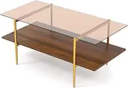 Giantex 2-Tier Glass Coffee Table, Rectangle Center Table with Tampered Glass Tabletop & Open Storage Shelf, Mid Century Modern Accent Table with Chic Golden Legs for Living Room, Brown