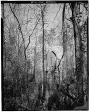 McCulloch Gold Mill,Copper Branch,Jamestown,Guilford County,North Carolina,NC,2