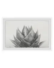 Marmont Hill Agave II