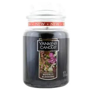 YANKEE CANDLE 香氛蠟燭 623g 月光綻放