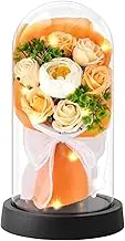 Eternal Rose in Glass with Light Gifts for Women, Preserved Flowers as Gifts for Mum Grandma Girlfriend Sister for Birthday Christmas Anniversary Valentine's Day Mother's Day Thanksgiving Champagne