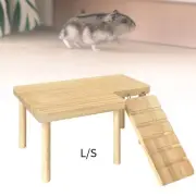 Hamster Platform with Climbing Ladder for Small Animals Rat Gerbil
