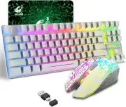 ZIYOU LANG T87 Wireless Rainbow Backlit Gaming Keyboard and Mouse Set 87 Keys