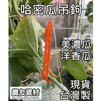 在飛比找蝦皮購物優惠-『農友資材』哈密瓜吊鉤200支【台灣製／現貨】 美濃瓜吊鉤 