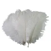 12 pcs 24-26" long White Genuine Ostrich FEATHERS Wedding Party Centerpieces