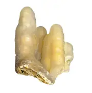 RARE - Bamboo Agate Chalcedony - Tubular - A