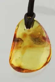 Fossil SPIDER Genuine BALTIC AMBER Adjustable Leather Pendant 10.3g 250116-7