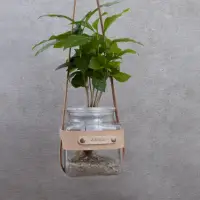 在飛比找momo購物網優惠-【Be Two】水根盆栽 植栽 水耕玻璃盆 真皮皮繩 垂吊掛