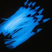 Outdoor Fishing Luminous Luya Bait Needle Shape Octopus Squid Soft Bait Kit X10