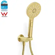 Round Hand Held Shower Head Hose Set Wall Connector Elbow Holder Brushed Gold