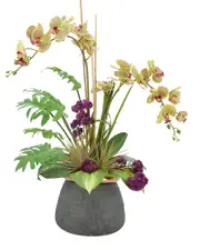 Creative Displays Orchid, Sedum & Cactus Arrangement NoSize Green