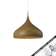 Snap Lighting Zara Dome Metal Downlight to Pendant Light Conversion Kit Light