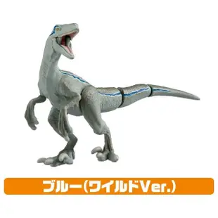 【TAKARA TOMY】ANIA 多美動物 侏羅紀世界 獵人恐龍組 3入(男孩 動物模型)