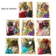 Nice Real Pressed Leaf Natural Dried Flower Beauty Art Decals for DIY