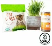 New! Deluxe Organic Cat Grass Kit W/Coastal Turquoise Wooden Planter *FREE SHIP*