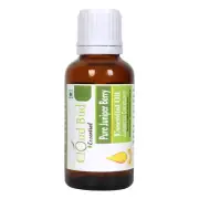 Pure Juniper Berry Essential Oil Juniperus Communis Distilled Uncut Natural