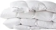 JSEIAJB Goose Down Bedding Thickened Warm Winter Quilts with Cored Bedding Winter Quilts(3.8kg)