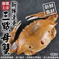 在飛比找Yahoo奇摩購物中心優惠-(買15送15)【海陸管家】活凍野生三點母蟹 共30隻組(每