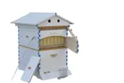 Auto Painted Wooden Bee Hives Box Brood Bee House + 7 Plastic Beekeeping Frames