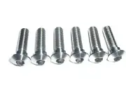 Kawasaki Ninja 250R 08-12 FRONT BRAKE ROTOR DISC BOLT KIT TITANIUM GR5 RACE SPEC