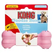 KONG Puppy Goodie Bone Teething Aid/Treat Dispensing Dog Chew Toy - S