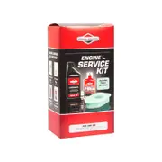 Briggs & Stratton Green Filter Engine Service Kit