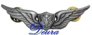 Army Aviation Aircraft Crewman Full Size Silver Oxide Badge Hat Lapel Pin 2.5"