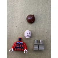 在飛比找蝦皮購物優惠-LEGO 樂高人偶 達力·德思禮 哈利波特 75968