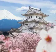 Lemon Mobile Japan Travel eSIM Unlimited Data Plans eSIM QR Code Scan and Play