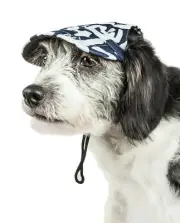 Pet Life 'Bone Cappa' Graffiti Sculptured UV Protection Adjustable Dog Hat