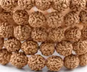 11-12mm Rudraksha Bodhi Seed Mala Meditation 108 Beads Brown Round 45inch