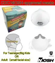 10-PCS Particulate Respirator N95 Mask Dust Disposable Face Masks Protective