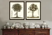 Palm Tree Print Botanical Wall Art Set of 2 Neutral Colors Beautiful Unframed