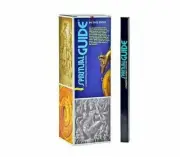 240 Spiritual Guide Incense Sticks Padmini Aromatics Hex Pack Wicca Smudge Pagan