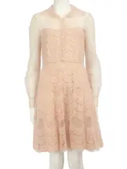 Pink Sheer Lace Polkadot Dress