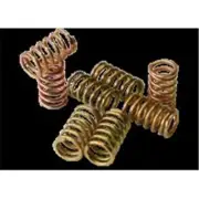 Beta Xtrainer 300 2017 Prox Clutch Spring Kits 17.CS73013