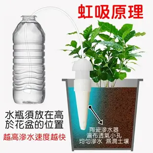 【珍愛頌】N095 滲水器 2入 自動澆花器 點滴式 澆水器 滴灌器 施肥器 陶瓷滴頭 懶人澆花器 盆栽 花卉 自動澆水