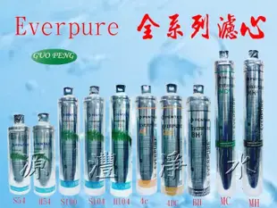 [源灃淨水]美國Everpure設備型號S-54濾心S54 S 54濾心 另有H54 H-54 賣場保固