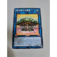 在飛比找蝦皮購物優惠-【K.P.M】 遊戲王 SELECTION 10  SLT1