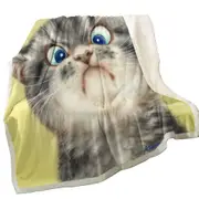 Cats Cute and Funny Faces Unhappy Grey Kitten Throw Blanket